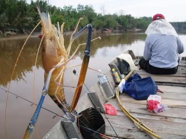 Fishing Icon